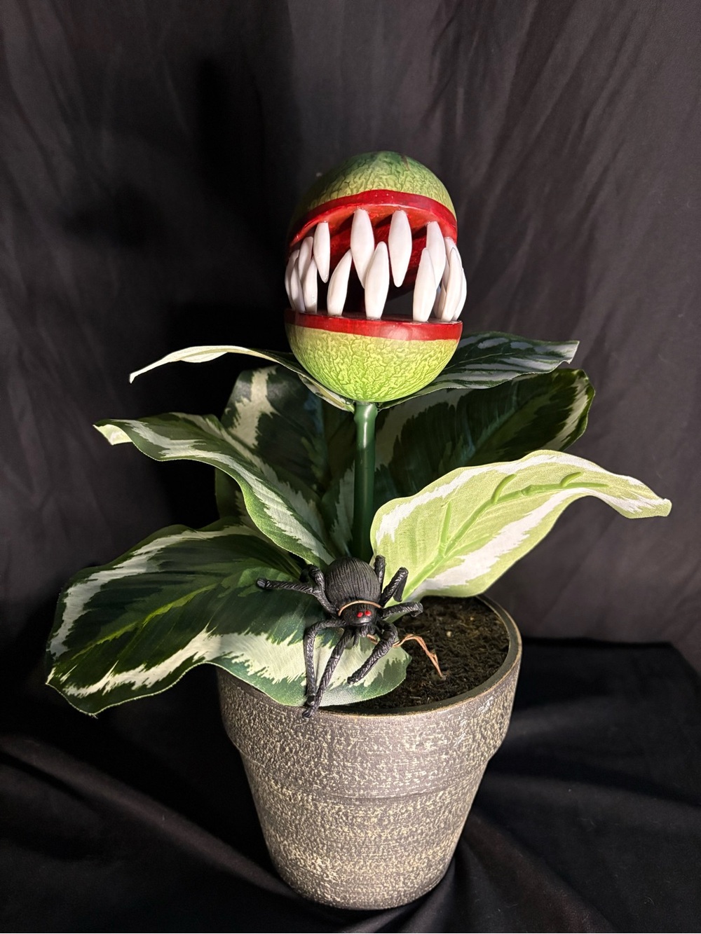 Green and Red Carnivorous Decorative Plant - Home Accent